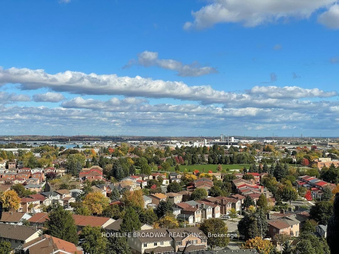 SOUTH VIEWS