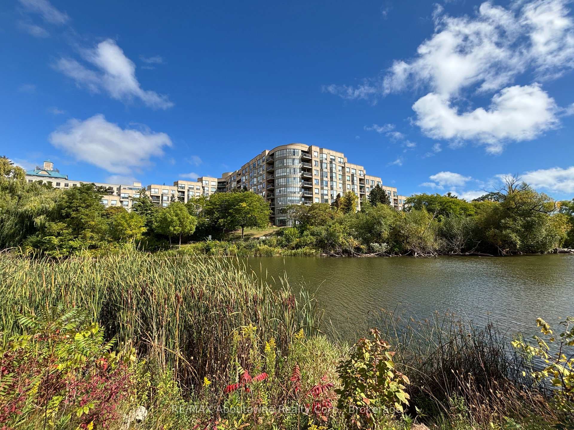 The Bronte Harbour Club