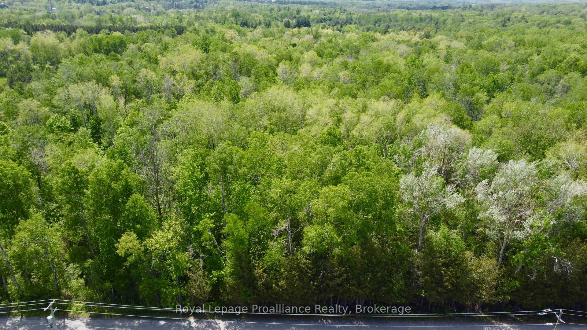0 Teal Road, Quinte West, ON K0K 3M0 - Photo 1