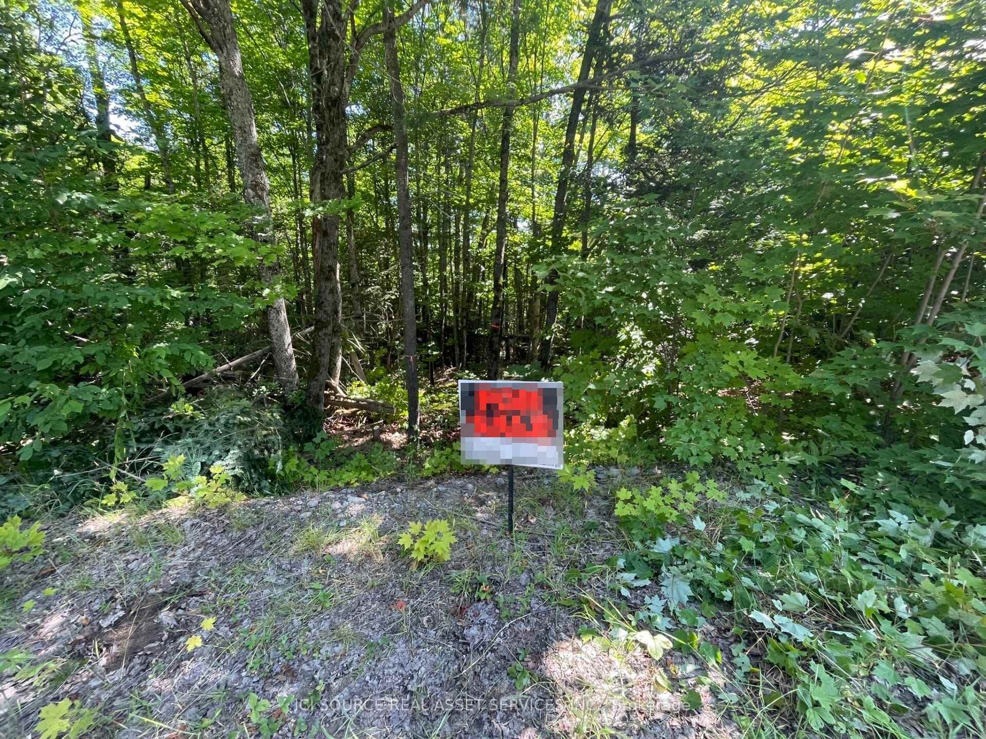 00 Rye Road Unit Part 2, South River, ON P0A 1X0 - Photo 1