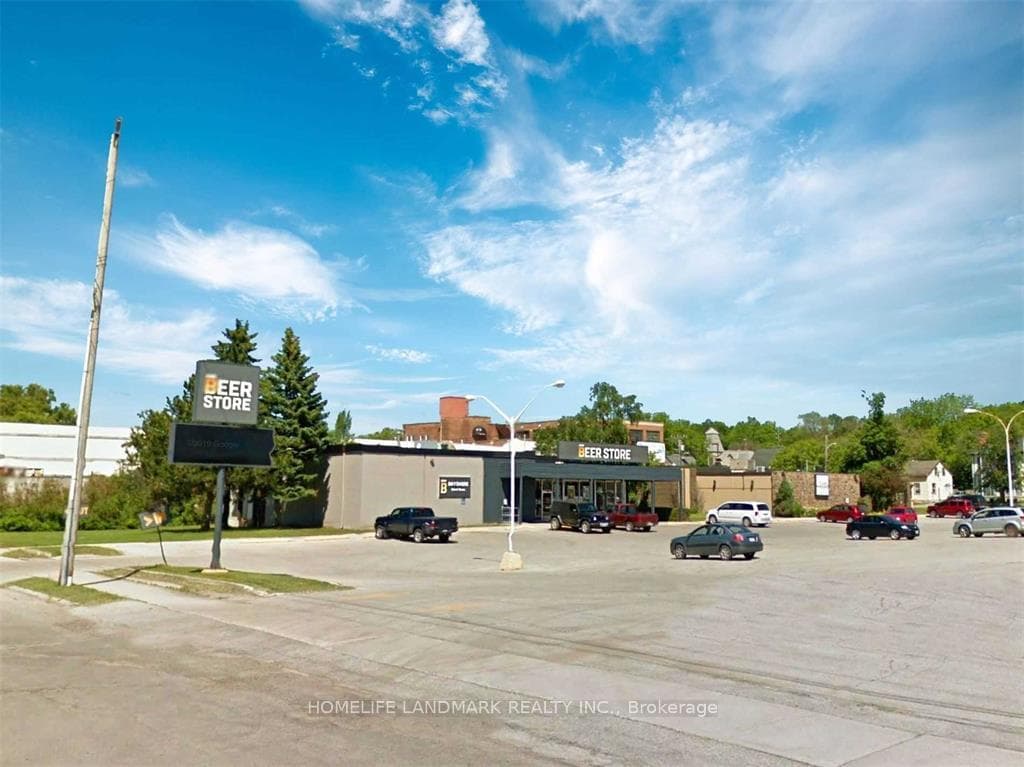 1155 1st Avenue, Owen Sound, ON N4K 2K2 - Photo 1