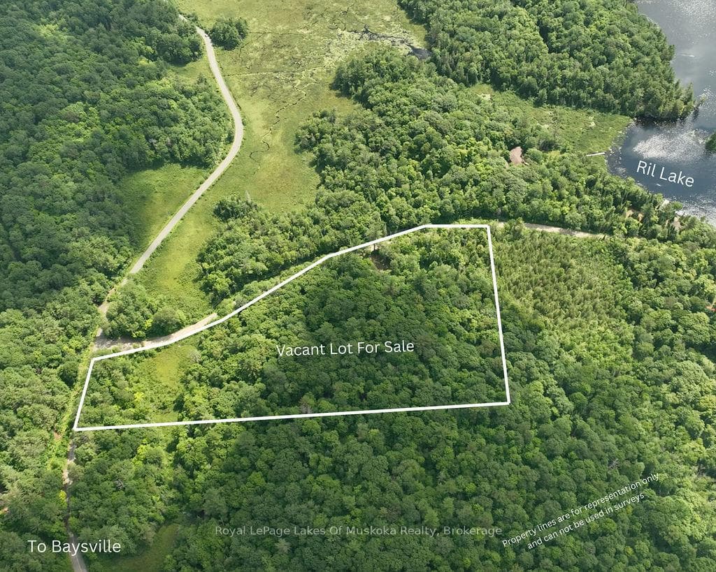 0000 Ril lake Road, Lake of Bays, ON P0B 1A0 - Photo 1