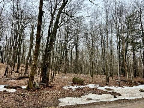 0 15th/16th Side Road, Magnetawan, ON P0A 1P0 - Photo 1