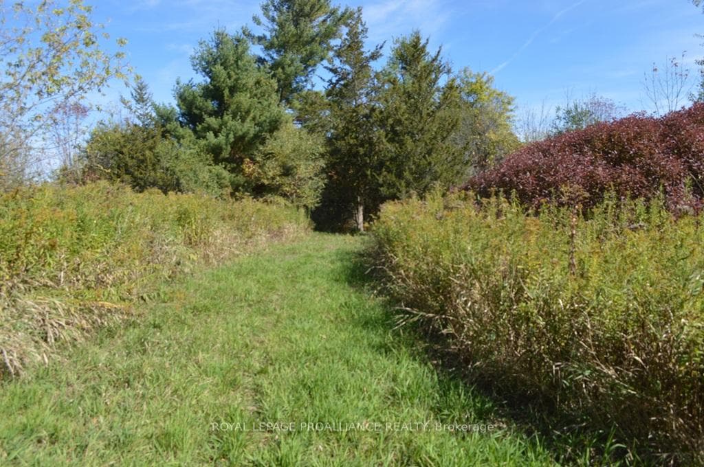 00 Scriver Road, Brighton, ON K0K 1H0 - Photo 1