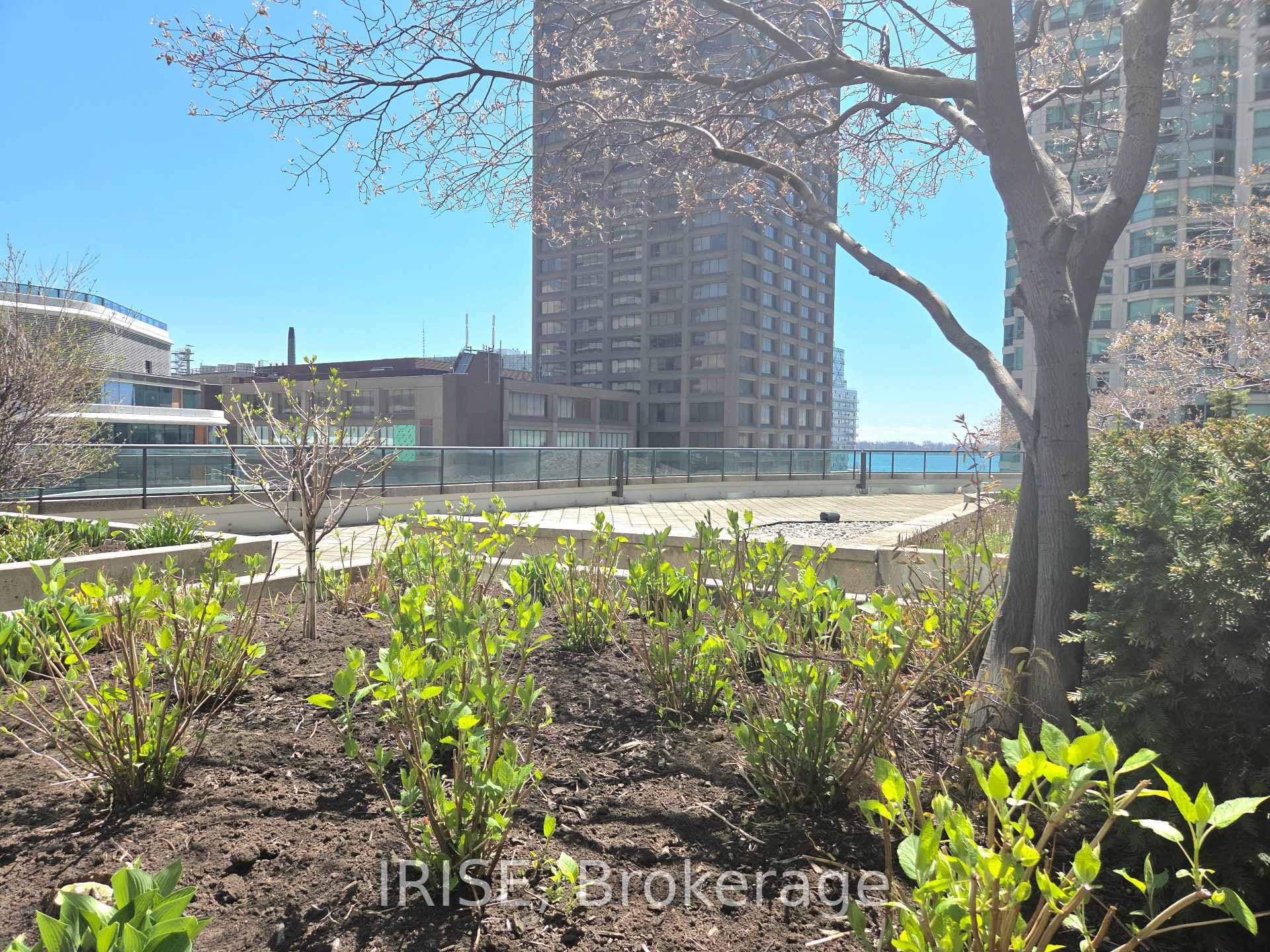 16 Yonge Street Unit 510, Toronto C01