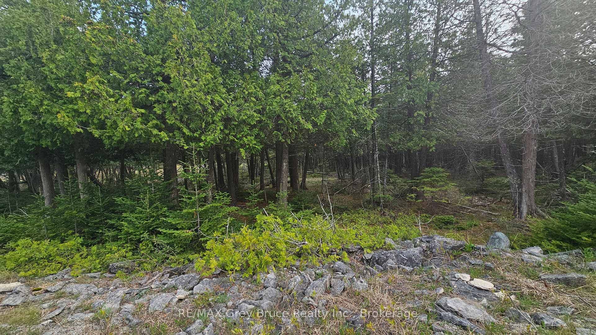 LT 254 Dorcas Bay Road, Northern Bruce Peninsula, ON N0H 2R0 - Photo 1