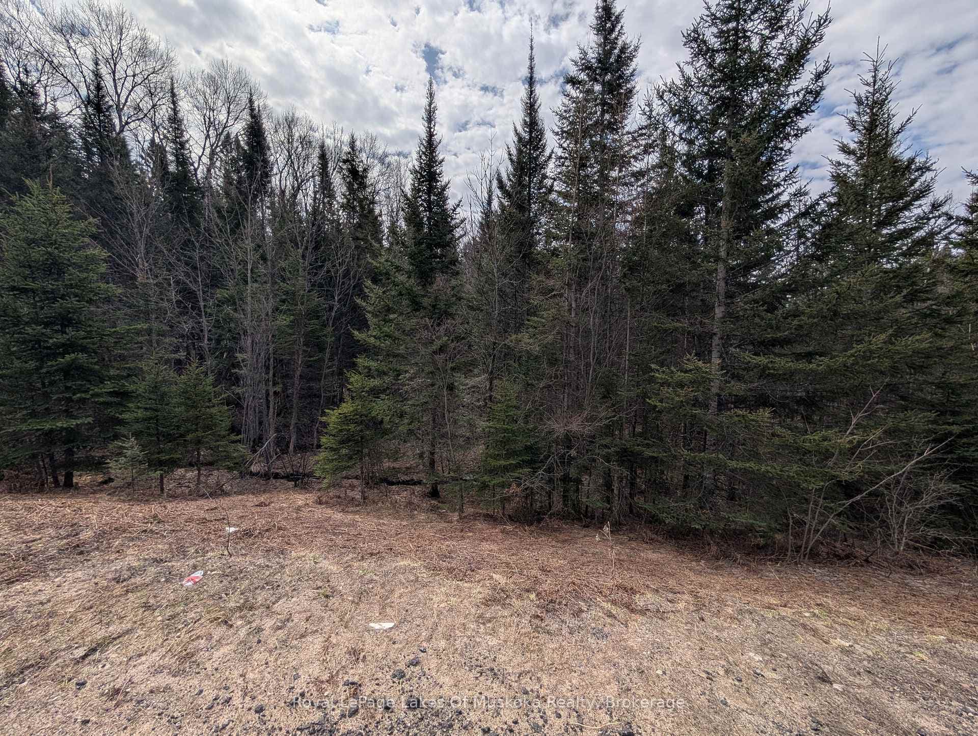 Mixed forest - 78 Acres
