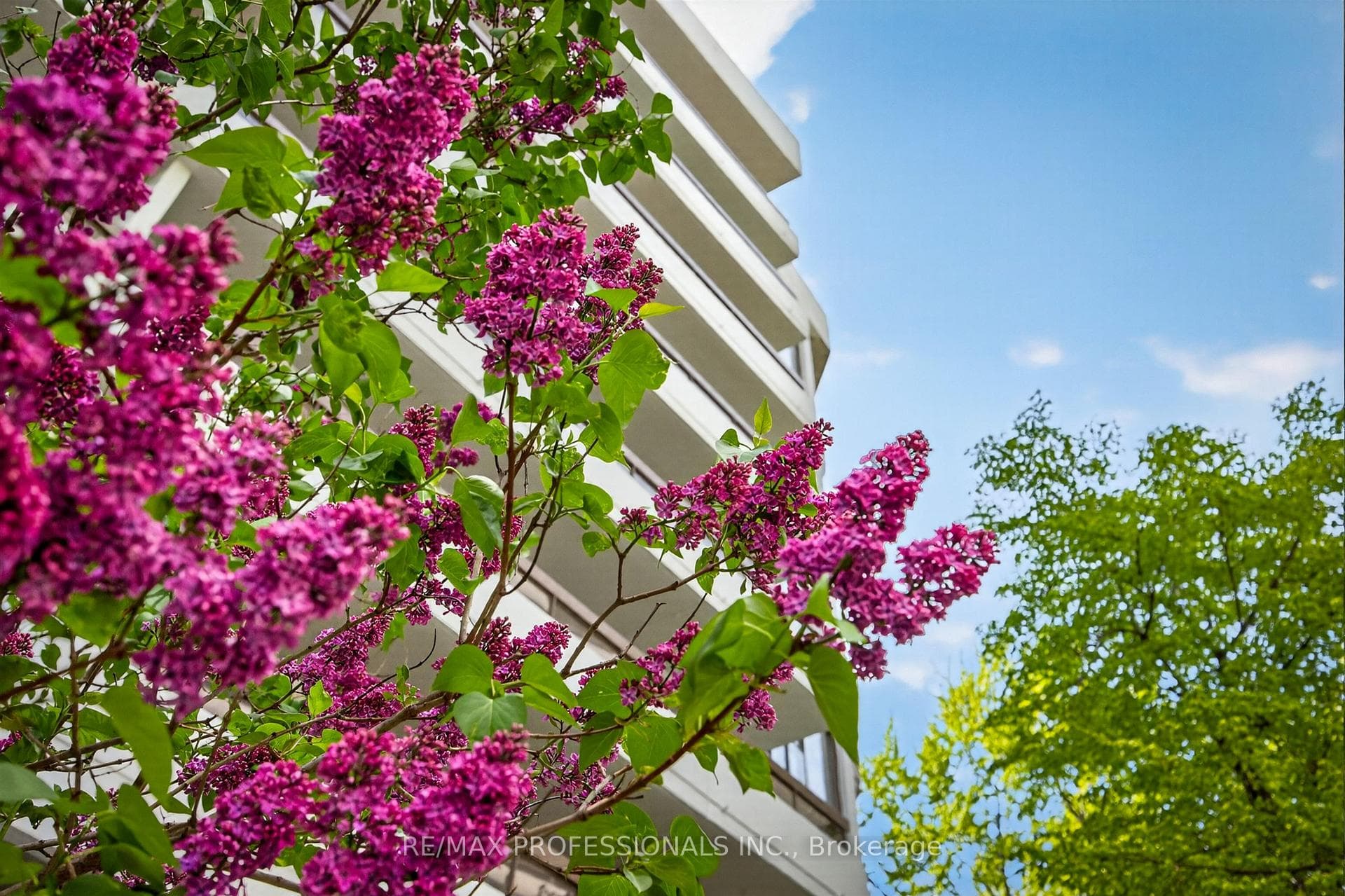 80 Quebec Avenue Unit 122, Bloor West Village / Swansea, ON M6P 4B7 - Photo 1
