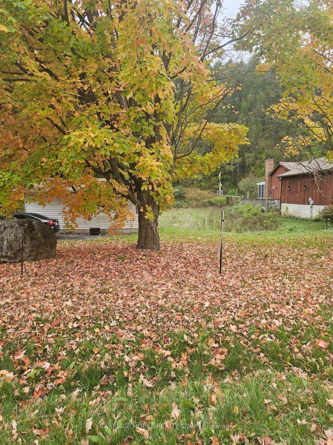 Part 1, 19904 Main Street, Caledon, ON L7K 0C2 - Photo 1