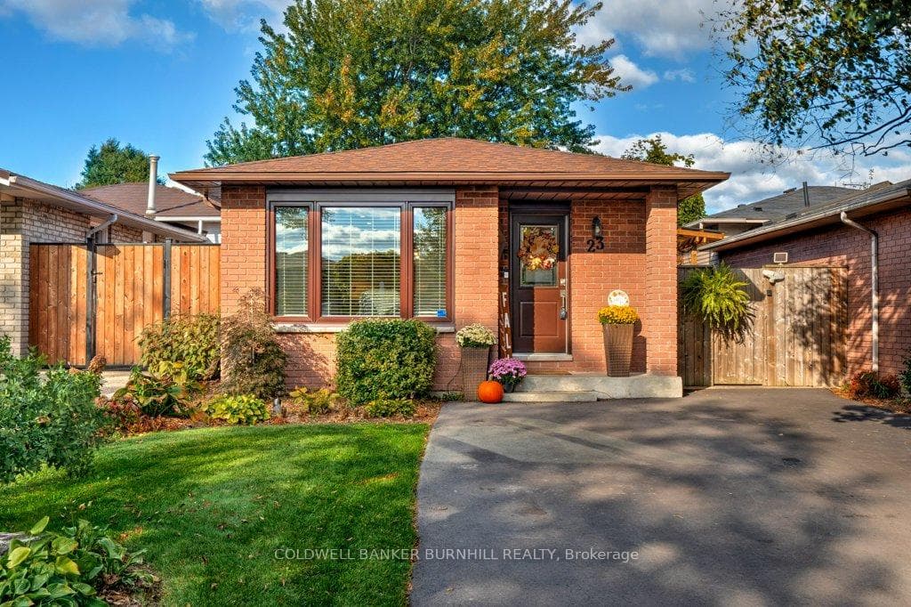 23 ADLER Avenue, Hamilton