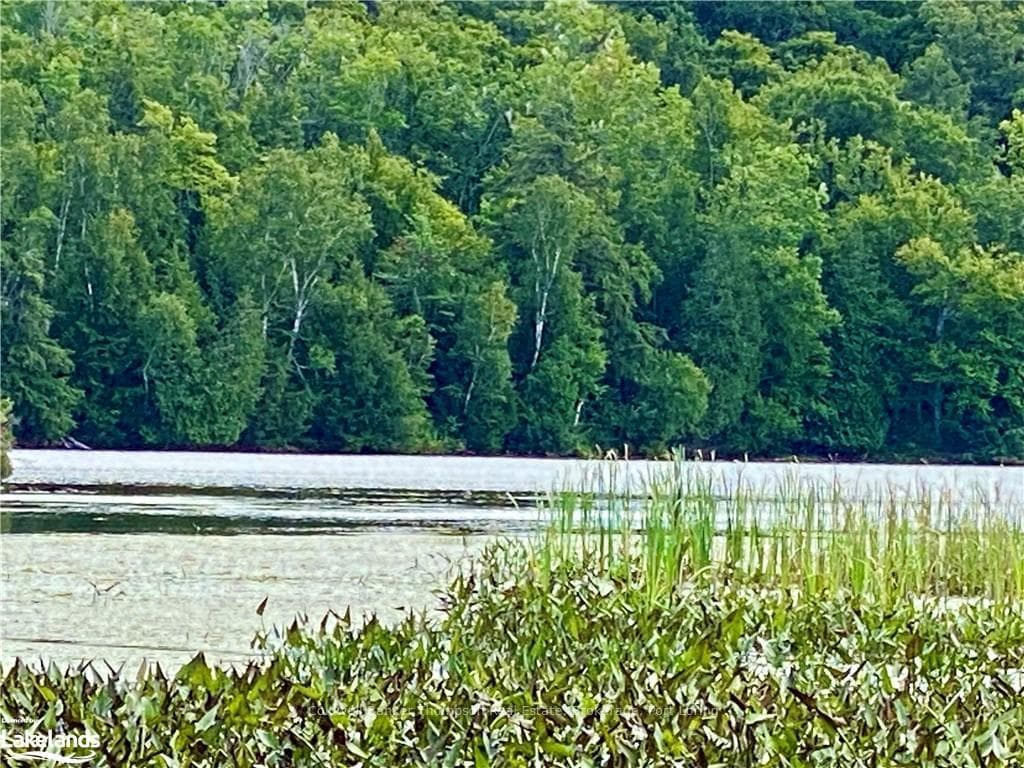 151 MAPLE Drive, Parry Sound Remote Area, ON P0H 1S0 - Photo 1