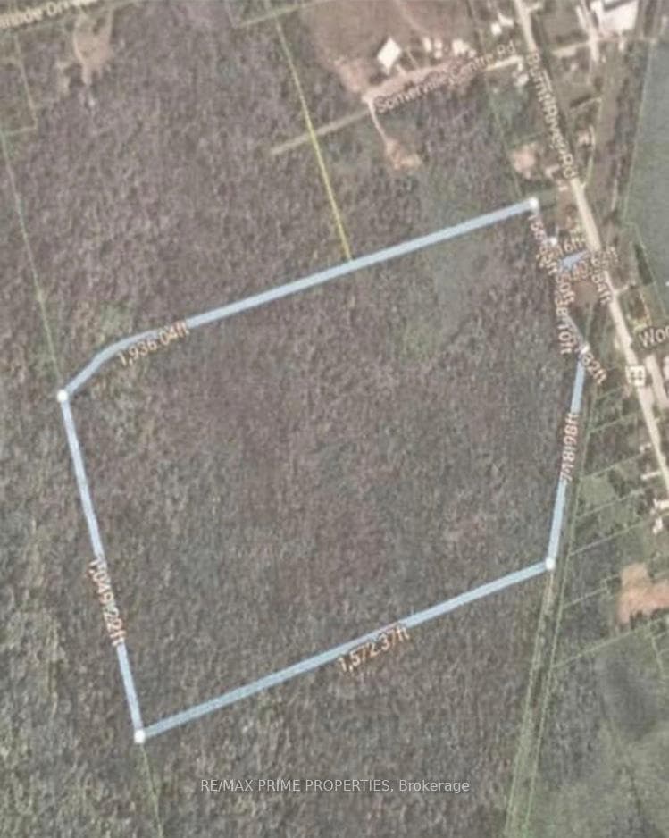 0 Burnt River Road, Kawartha Lakes, ON K0M 1C0 - Photo 1