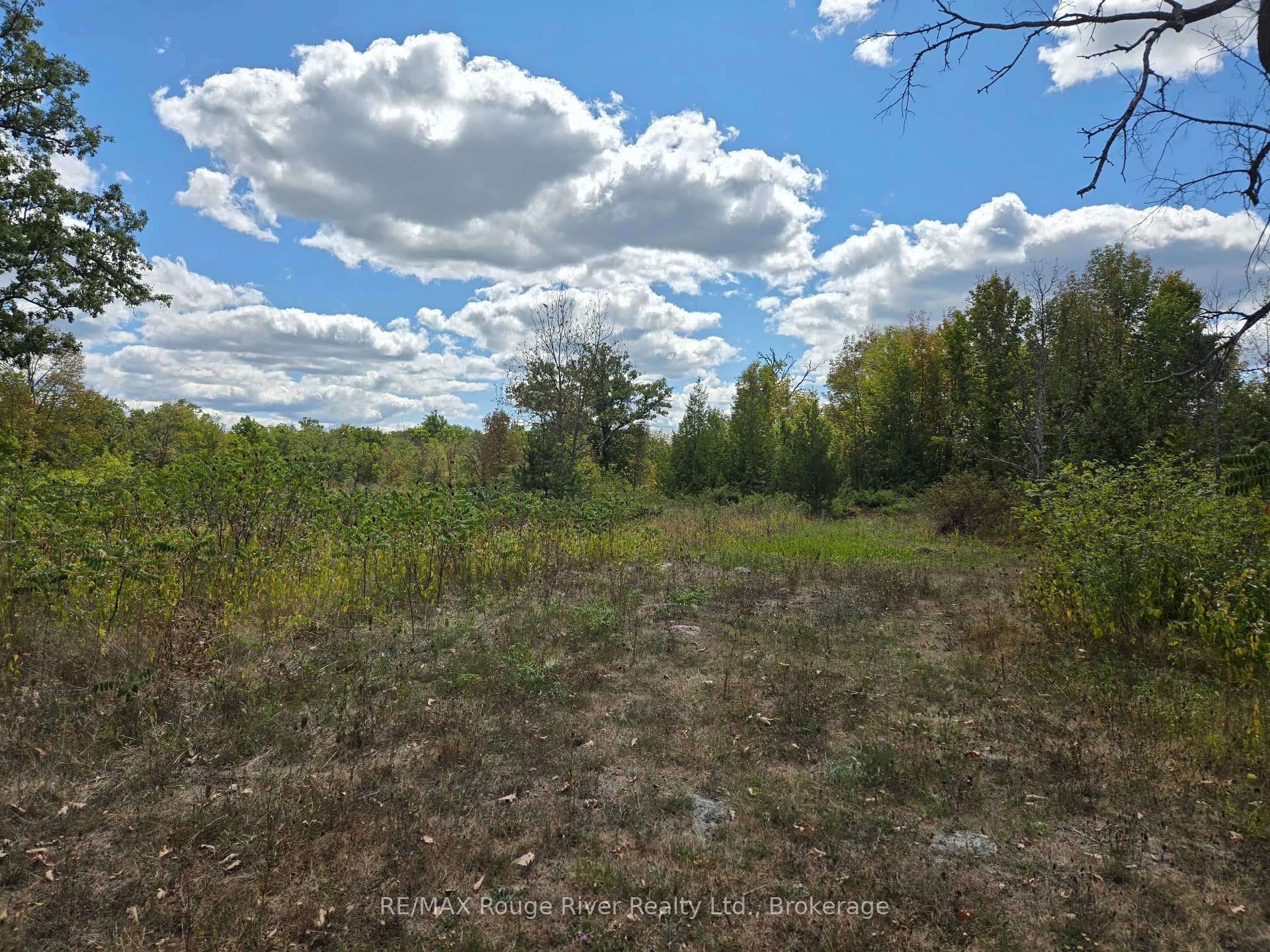 103080 Highway 7 Highway, Marmora and Lake, ON K0K 2M0 - Photo 1