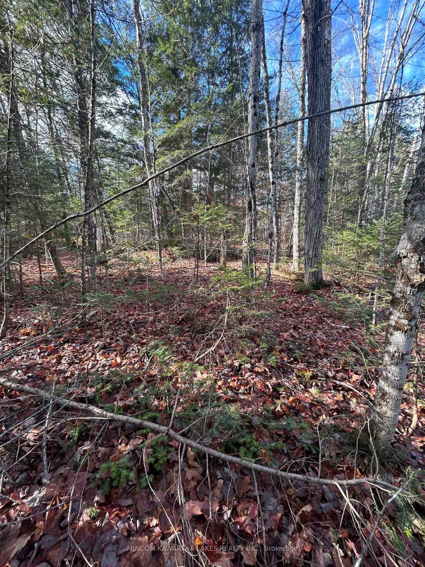 0 Mill Lake Road, North Kawartha, ON K0L 1A0 - Photo 1