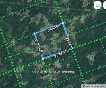 0A Flinton Road, Tweed, ON K0K 3J0 - Photo 1