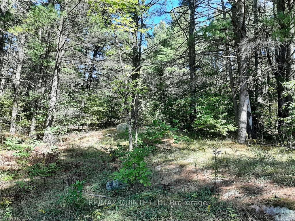 0 PT LT12 CON14 Hwy 37 Road, Tweed, ON K0K 3J0 - Photo 1