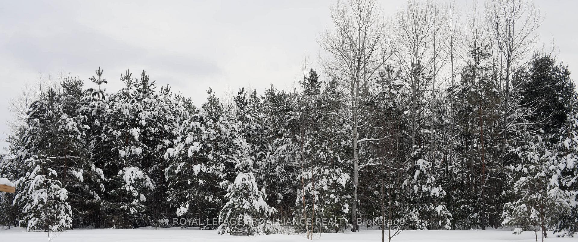 0 Airport Road, Addington Highlands, ON K0H 2G0 - Photo 1