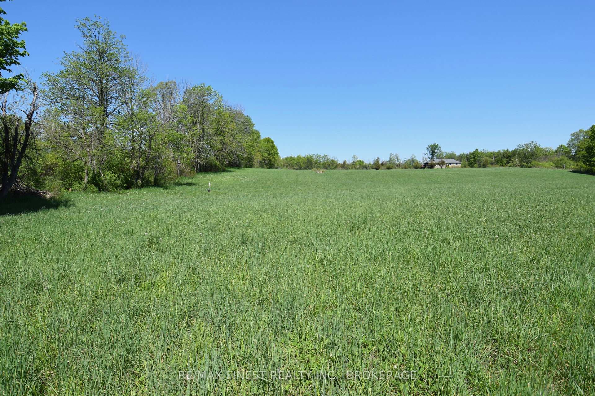 1003 County Road 14 N/A, Stone Mills, ON K0K 1Z0 - Photo 1