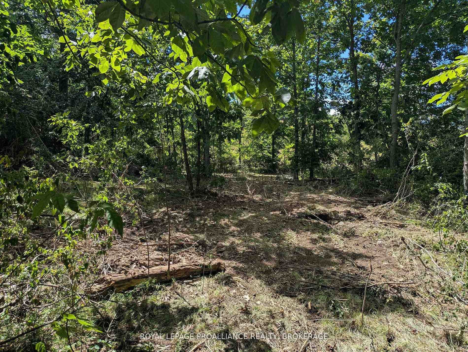 2621 4th Concession Road, Kingston, ON K0H 1Y0 - Photo 1