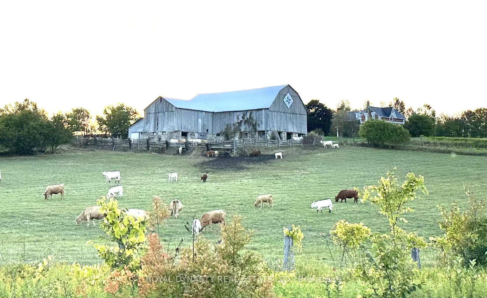 807 County Rd 41 Road, Kawartha Lakes