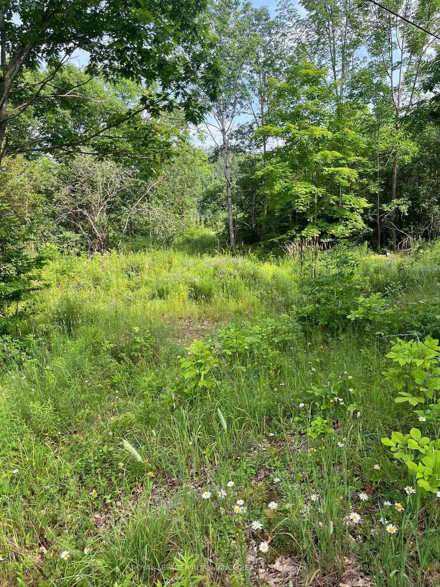 0 Pt Lt 14 Con 3 N/A, Rideau Lakes, ON K0G 1X0 - Photo 1
