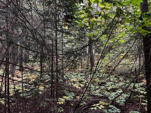 4 SHORE Road, Saugeen Shores, ON N0H 2L0 - Photo 1