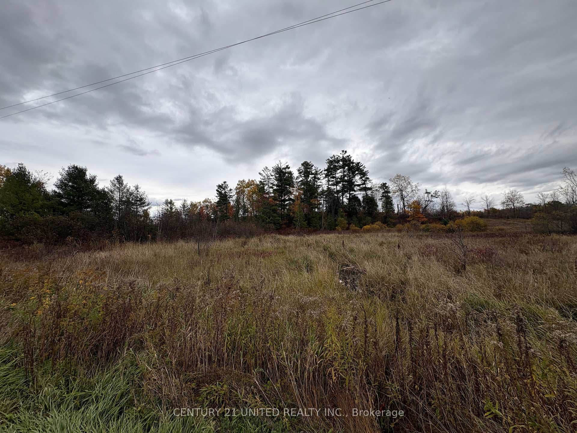 0 Godolphin Road, Trent Hills, ON K0K 3K0 - Photo 1