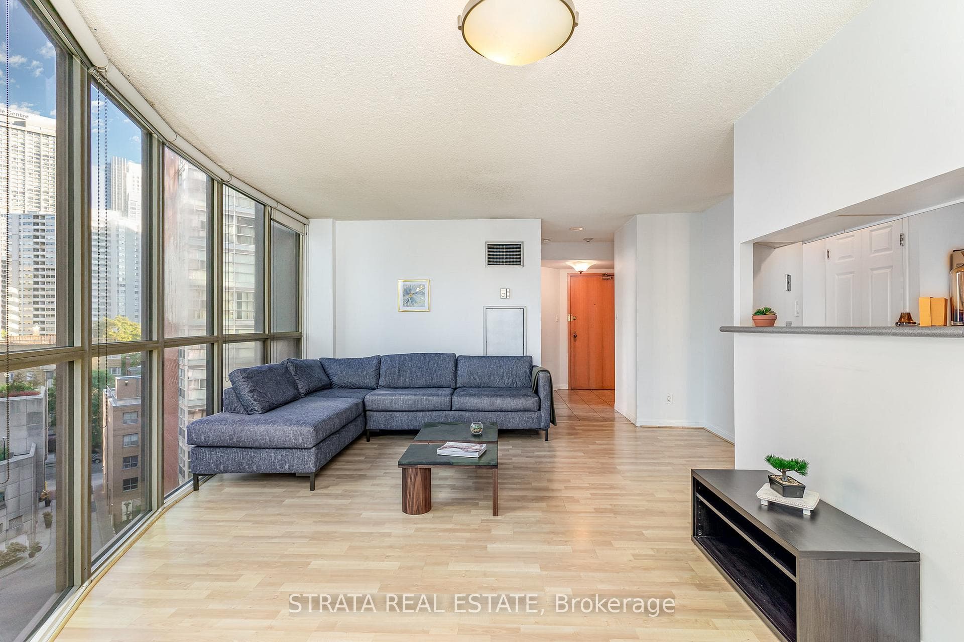 Living room/dining room
