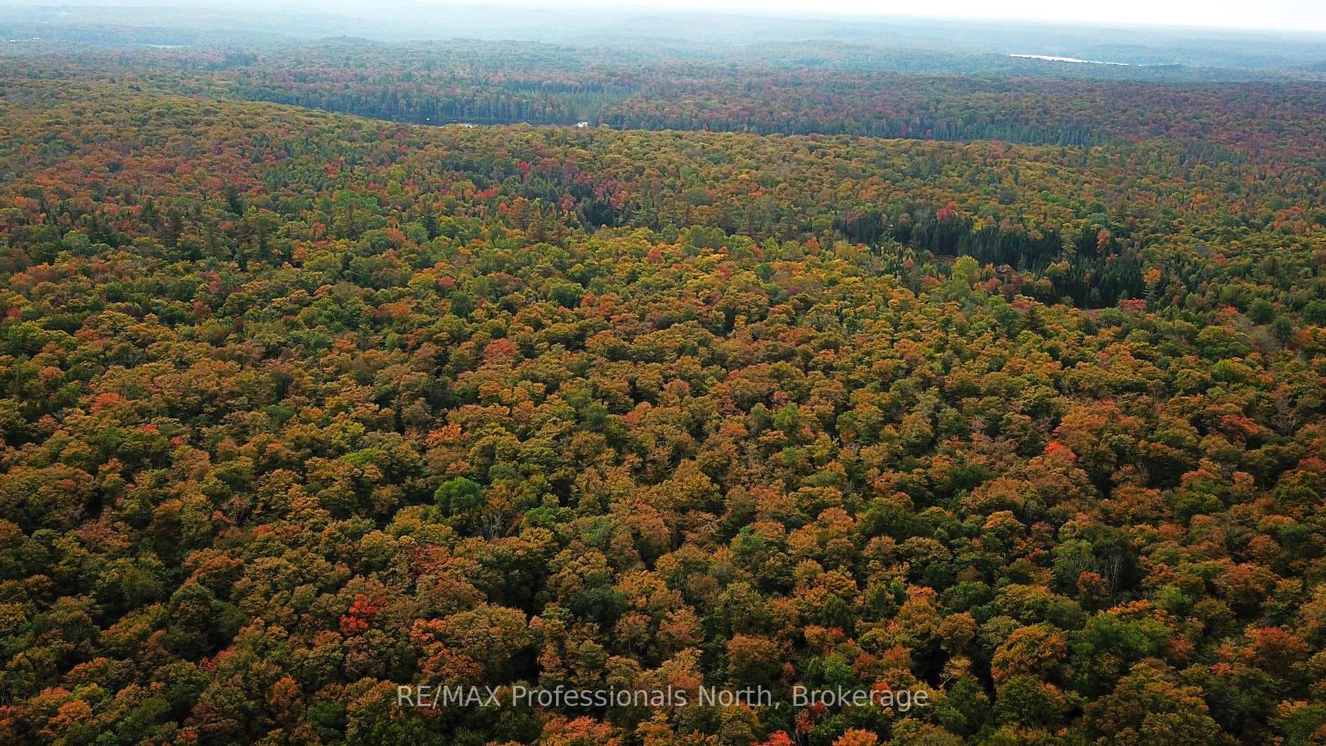 00 SOUTH HORN LAKE Road, Magnetawan, ON P0B 1C0 - Photo 1