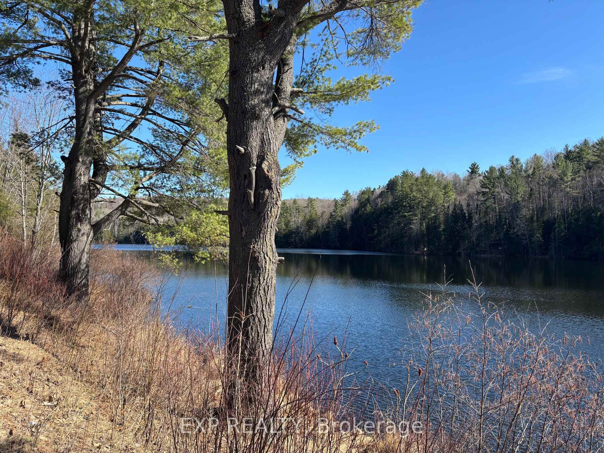 000 Opeongo Road, Madawaska Valley, ON K0J 2N0 - Photo 1