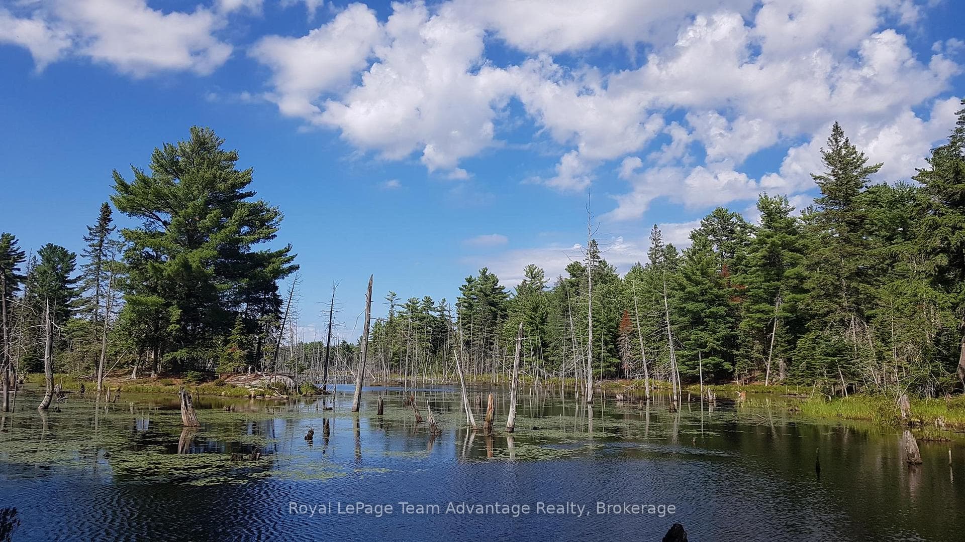 0 Unopened Road Allowance Road, McKellar, ON P2A 2W7 - Photo 1
