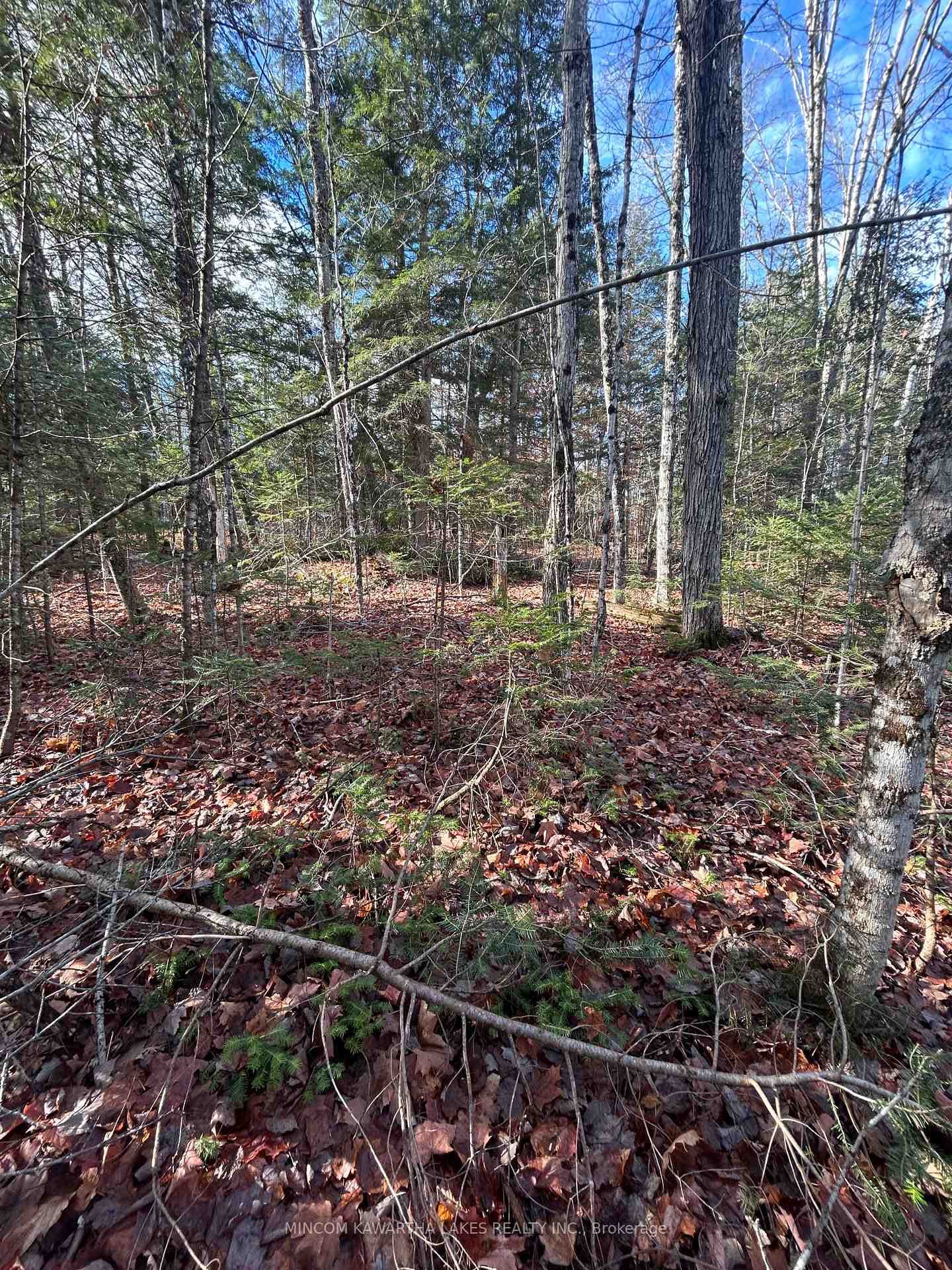 0 Mill Lake Road, North Kawartha, ON K0L 1A0 - Photo 1
