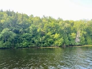 LOT 13-A LITTLE LONG N/A, Parry Sound Remote Area
